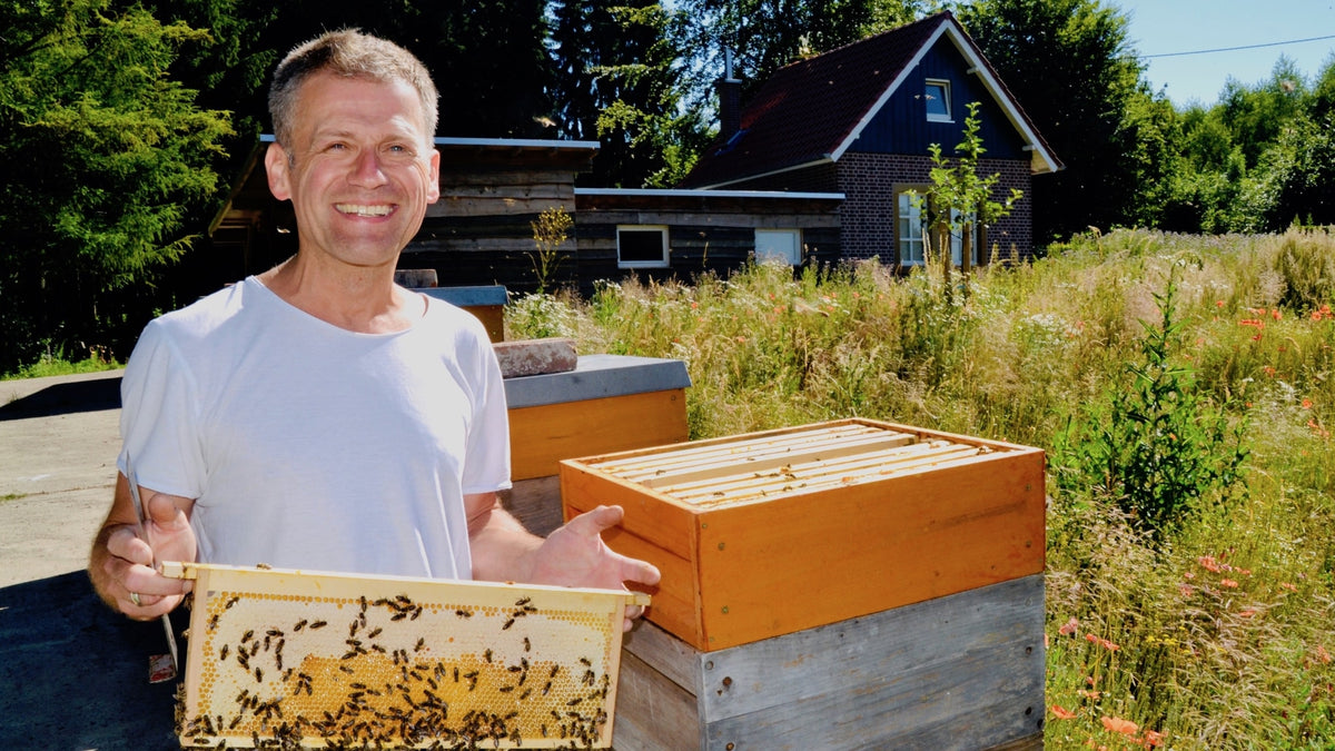 bienenprofi-mit-respekt-honig-aus-niedersachsen
