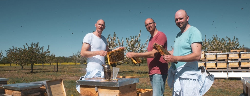 ein-herz-fuer-bienen