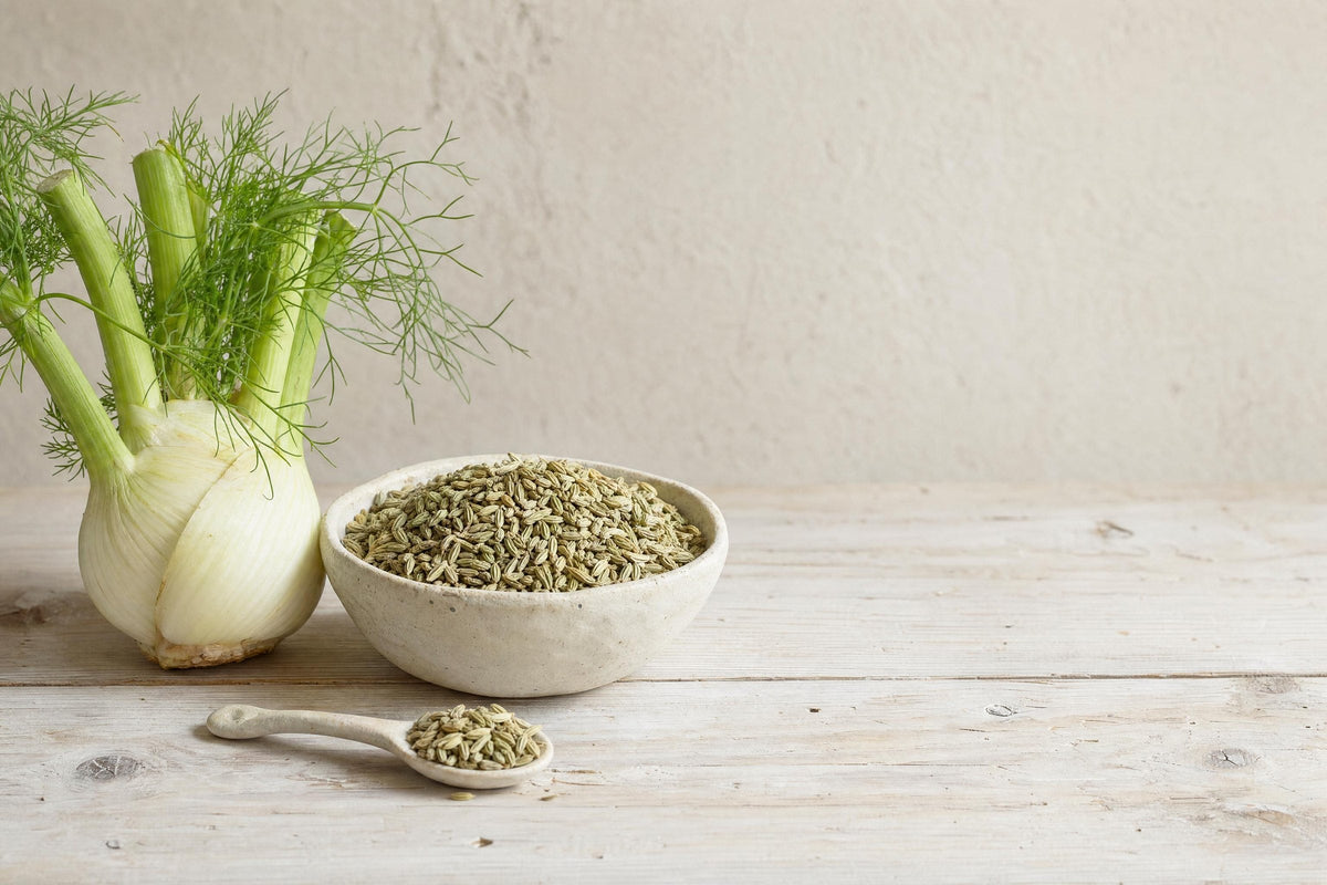 Fenchel: Aroma, Herkunft und Verwendung in der Küche