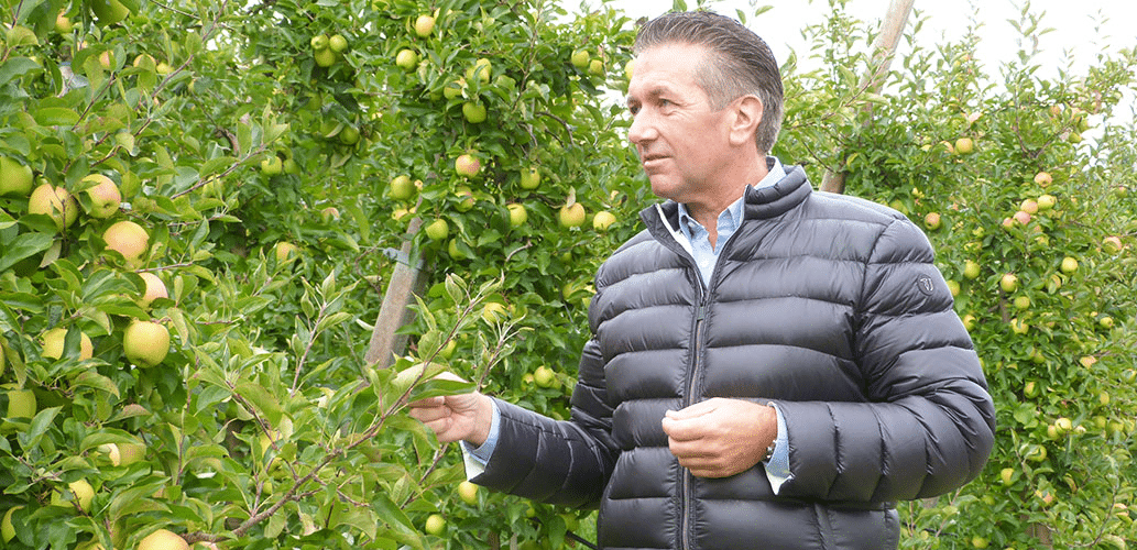 Thomas Kohl prüft Äpfel in seiner Apfelplantage in Südtirol