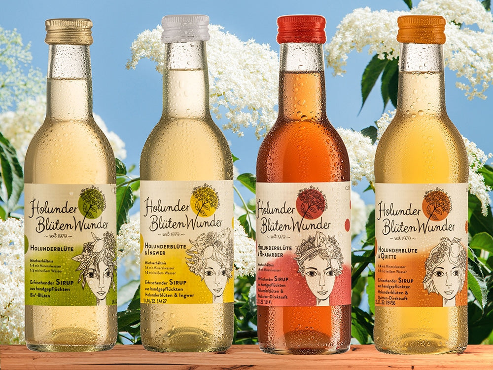 Holunderblüte & Ingwer Premium Sirup