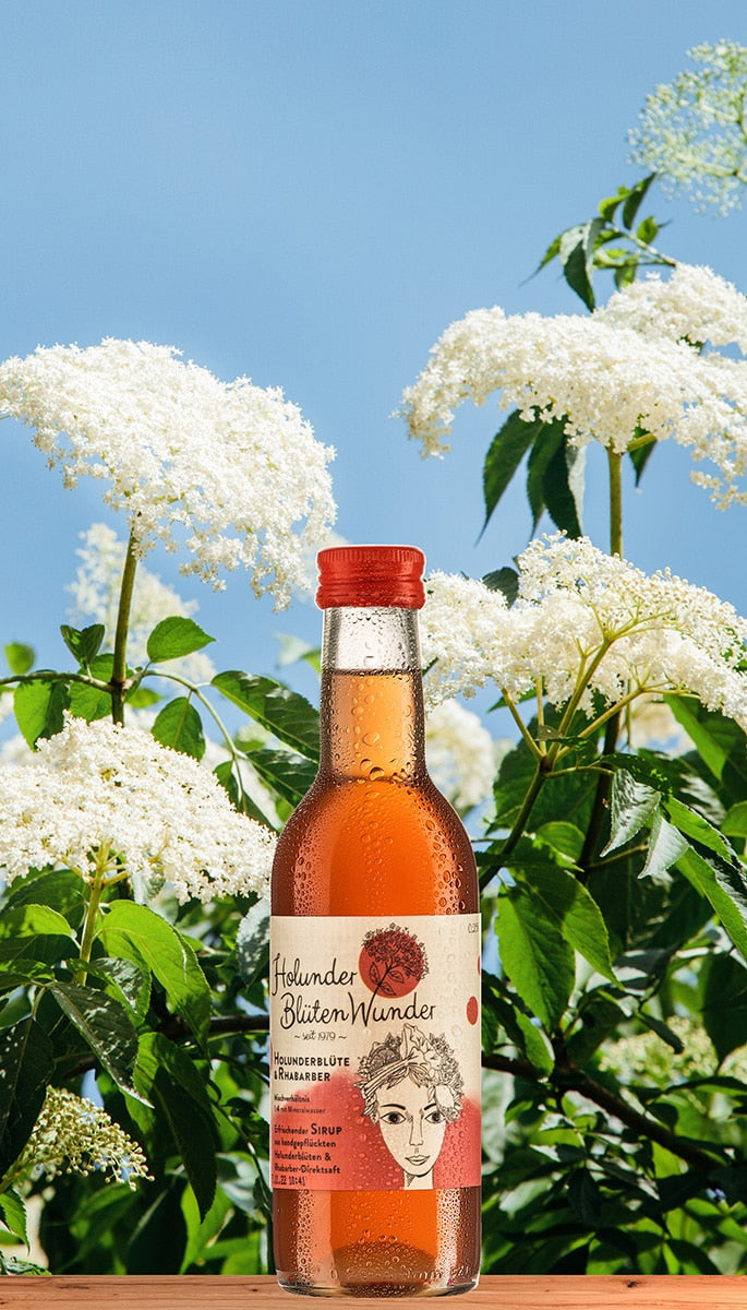 Holunderblüte & Rhabarber Premium Sirup