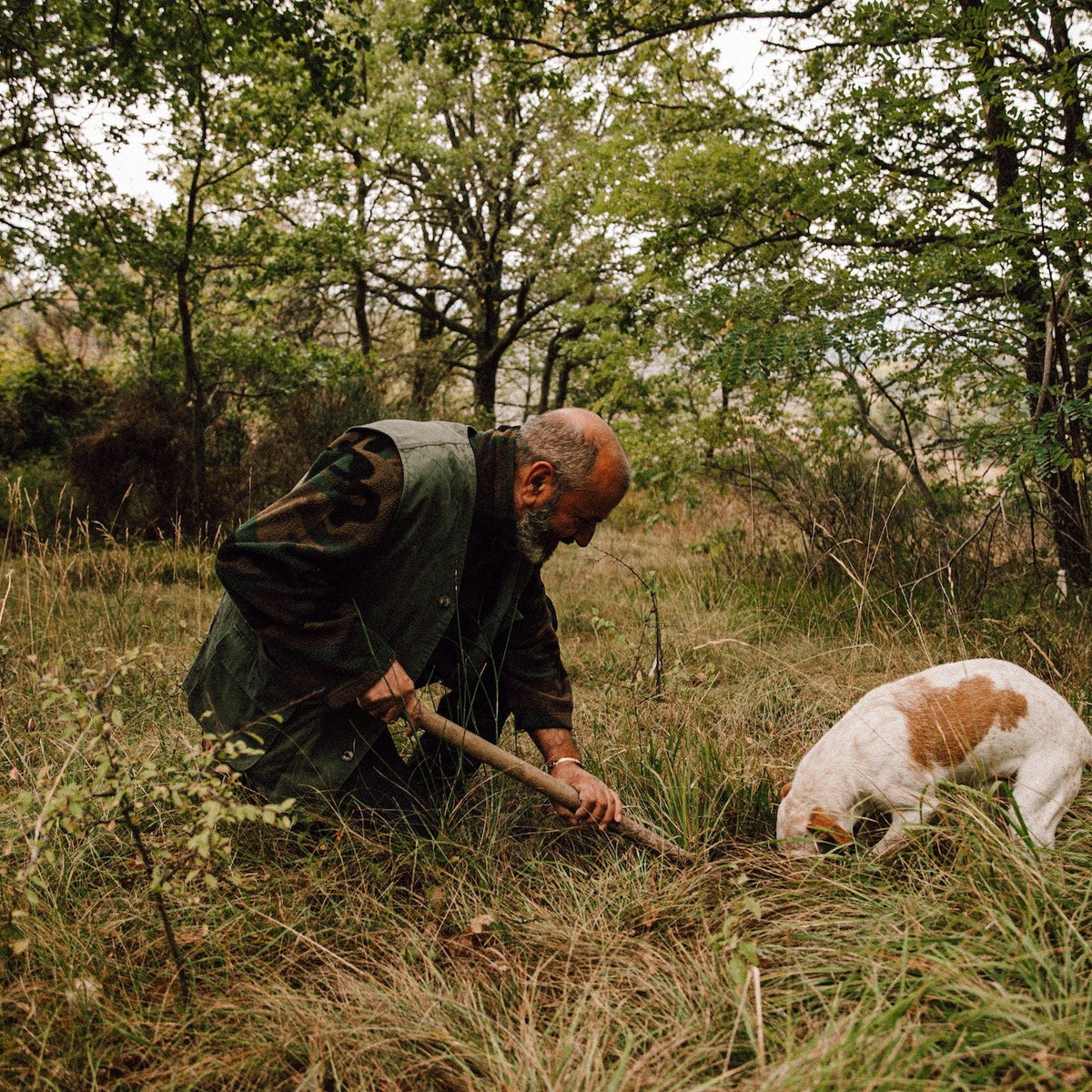 Trüffelsuche mit Hund in Molise